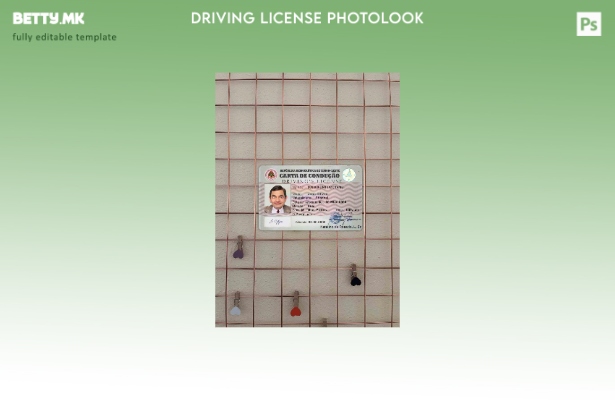 модерен стил Тимор Источен DL photolook ПРЕДЕН шаблон